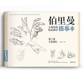 人体结构绘画教学 最新版 漫画人体结构- 京东